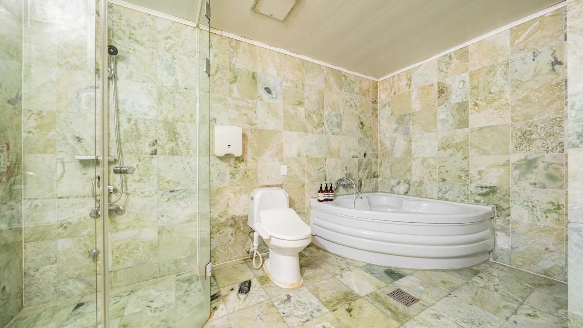 Incheon Airport Hotel June 韓国