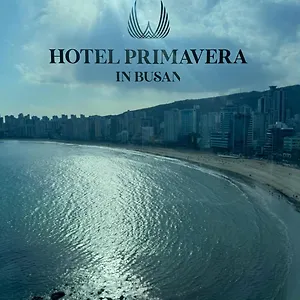 gwangalli-brown-dot-d-minlak.busan-hotelsweb.com/